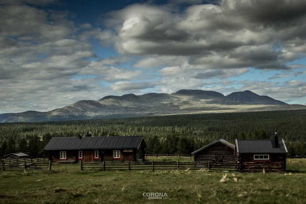 wędkarstwo skandynawia